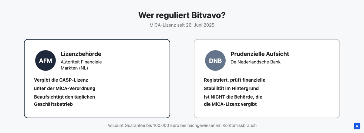 Grafik zur Bitvavo-Regulierung: AFM vergibt die MiCA-Lizenz, DNB übernimmt die prudenzielle Aufsicht